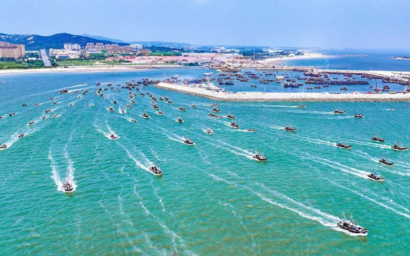 黃渤海開海 山東日照再現“千帆競發”